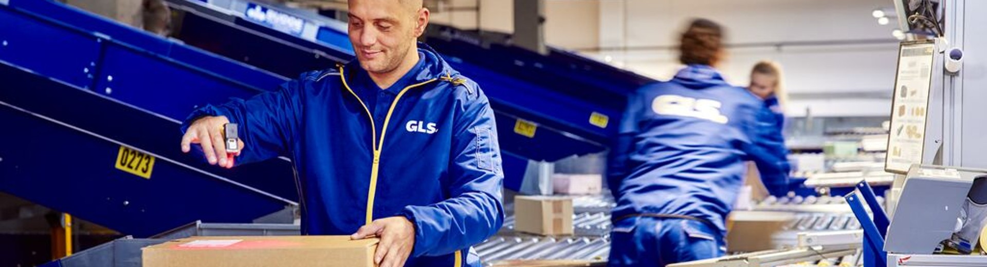 GLS personel managing parcels