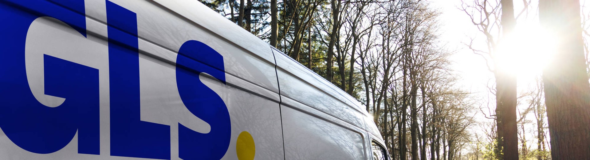 GLS van in the woods