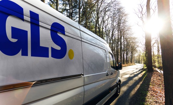 GLS van in the woods