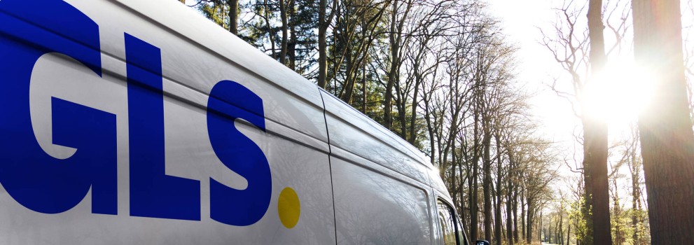 GLS van in the woods